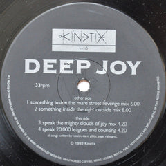Deep Joy : Something Inside (12", Single)