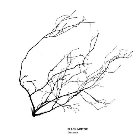 Black Motor : Branches (CD, Album)