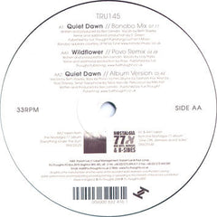 Nostalgia 77 : Quiet Dawn (12", Single)