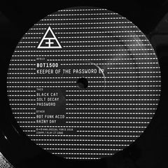 Bot1500 : Keeper Of The Password EP (12", EP)
