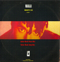 Rebel MC : Better World (12", Single)