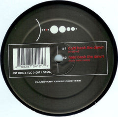 Stashrider : Hold Back The Dawn (12")