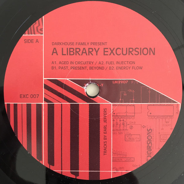 Darkhouse Family (2) : A Library Excursion (12")