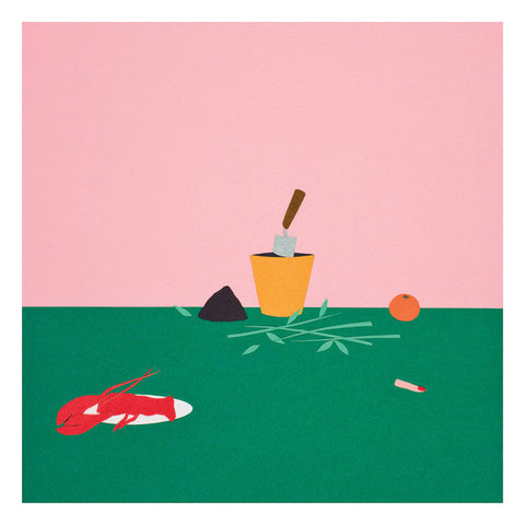 Le Fruit Vert : Passiflore (12", RE)
