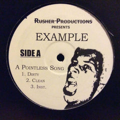 Example : Pointless Song / Who's Ready? (12", Ltd)