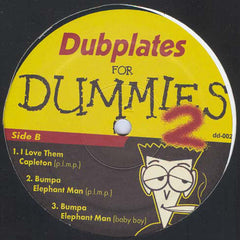 Various : Dubplates For Dummies Vol.2 (12")