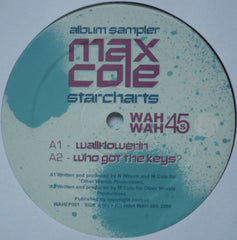 Max Cole : Starcharts Album Sampler (12", EP)