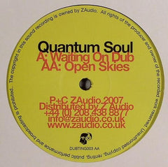 Quantum Soul : Waiting On Dub / Open Skies (12")