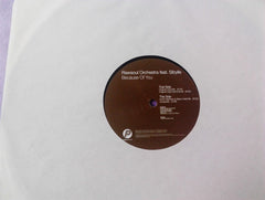 Rawsoul Orchestra Feat. Sibylle : Because Of You (12")