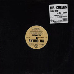 Mr. Cheeks : Turn It Up / All I Know (12")