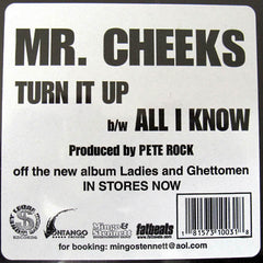 Mr. Cheeks : Turn It Up / All I Know (12")