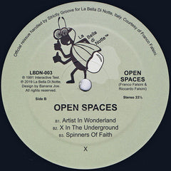 Open Spaces : Open Spaces (12", RE)
