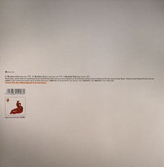 Llorca With Lady Bird : My Precious Thing (12")