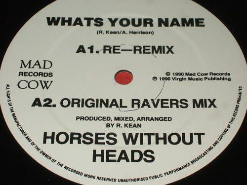 Horses Without Heads : What's Your Name (12")