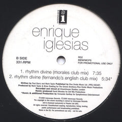 Enrique Iglesias : Rhythm Divine (12", Promo)