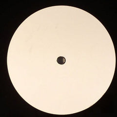 DJ Sted-E & Ray Roc* : The Dream (12", S/Sided, W/Lbl)