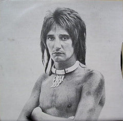Rod Stewart : A Night On The Town (LP, Album)