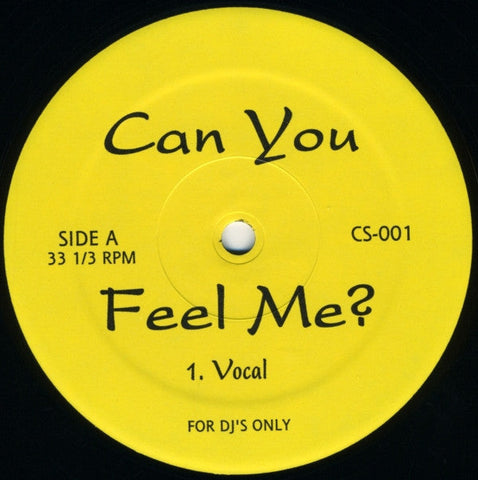 Charles Spencer Featuring Sky Covington : Can You Feel Me? (12")