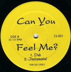 Charles Spencer Featuring Sky Covington : Can You Feel Me? (12")