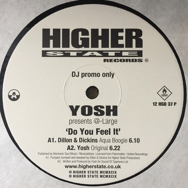 Yosh Presents @Large* : Do You Feel It (12")