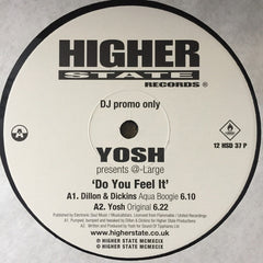Yosh Presents @Large* : Do You Feel It (12")