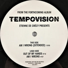 Etienne De Crécy : Am I Wrong (12", Promo)