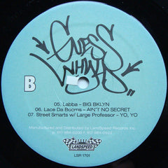 Guesswhyld : Past, Present, & Future (2xLP, Comp)