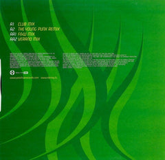 Dario G : Ring Of Fire (12", Promo)