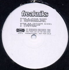 Freakniks : Ordinary Day (12", Promo)