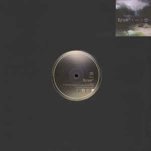 DJ Rum : Plantain / What I Was Doing When I Was Doing What I Was Doing (12", RP, Pin)