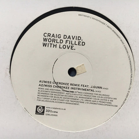 Craig David : World Filled With Love (12", Promo)