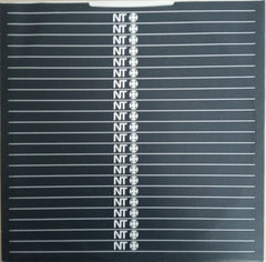 NT (2) : Positive-ism (12", Single, Promo)