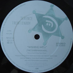 Terence Trent D'Arby : Wishing Well (The Darbinian Mix) (12")