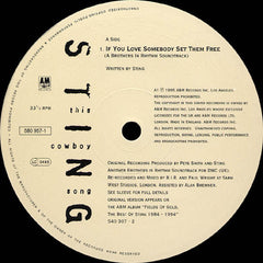 Sting : This Cowboy Song (12", Single)