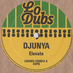 Djunya : Elevate (12")