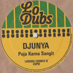 Djunya : Elevate (12")