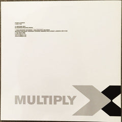 Flesh & Bones : I Love You (12", Promo)
