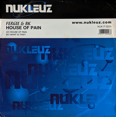 Fergie & BK : House Of Pain (12")