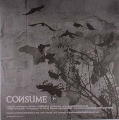 Gunjack : A Murder Of Crows (12", 33 )