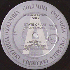 State Of Art : Understanding (12", Promo)
