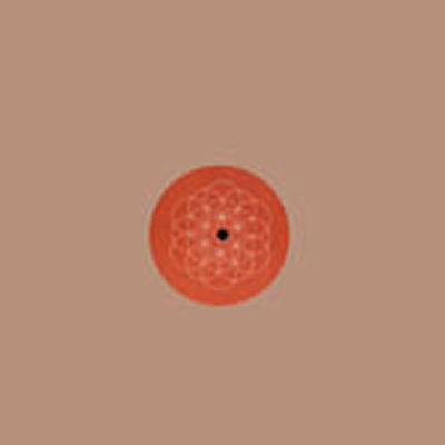 DJ Kemit : We Need Love (12")
