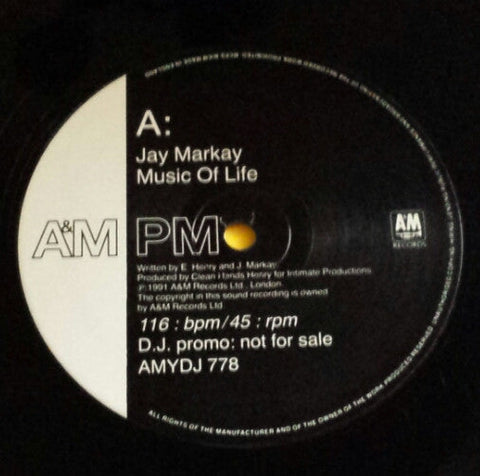 Jay Markay : Music Of Life (12", Promo)