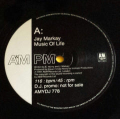 Jay Markay : Music Of Life (12", Promo)