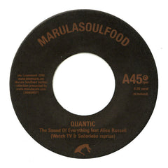 Quantic : The Sound Of Everything (7")