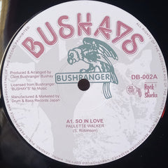 Paulette Walker / Suzy Brown : So In Love / Shake Your Body (12")