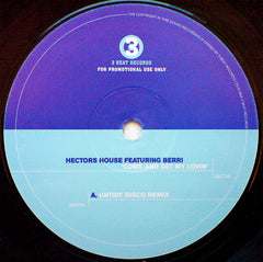 Hector's House Featuring BERRi : Come And Get My Lovin' (2x12", Single, Promo)
