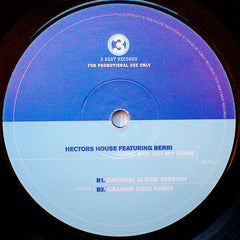 Hector's House Featuring BERRi : Come And Get My Lovin' (2x12", Single, Promo)