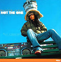 Raheem Jamal Perkins : Not The One (12")
