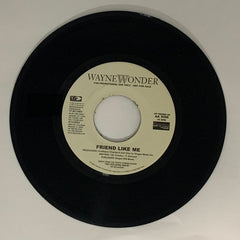 Wayne Wonder : Glad You Came My Way  (7")