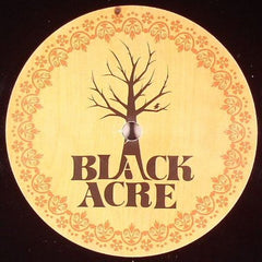 Rich Reason & Fantastic Mr Fox : Fall (12")